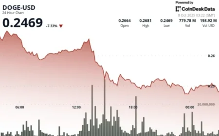Dogecoin Drops 8 Percent Before Whale Purchases Help Stabilize DOGE at 25 Cents