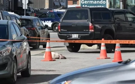 Quebec Resident Speaks Out Against Dangerous Dogs Following Recent Attack