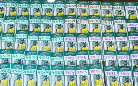 Kerala Lottery Sthree Sakthi SS-488 Results: ₹1 Crore First Prize Winner SL 313693 on October 7 2025 – View Full List