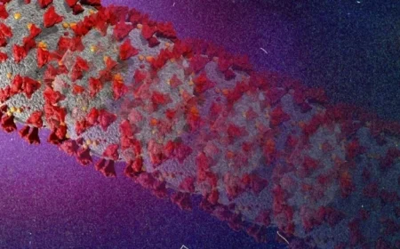 New Frankenstein COVID-19 Variant Emerges What Canadians Need to Know