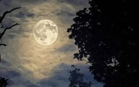 October Harvest Moon Kicks Off Spectacular Back-to-Back Supermoons