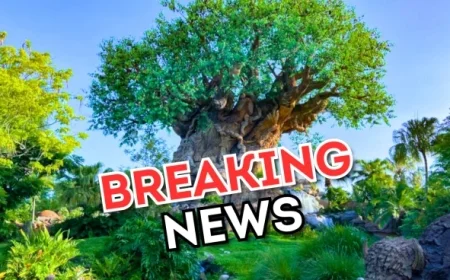 Disney World Reveals Exclusive Annual Passholder Previews for New Zootopia Attraction