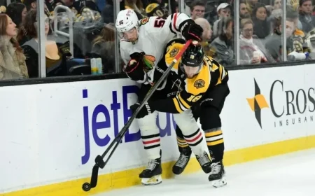 Exciting Preview of the Blackhawks vs Bruins Game and Insights on Rose Tattoo Theme