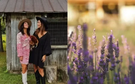 Ferron Sisters Reveal Surprising Future Plans for Maison Lavande That Fans Won’t Want to Miss