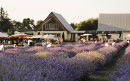 La Maison Lavande Faces Turmoil Amid Calls for Boycott Following Co-Owner’s Daughters’ Departure