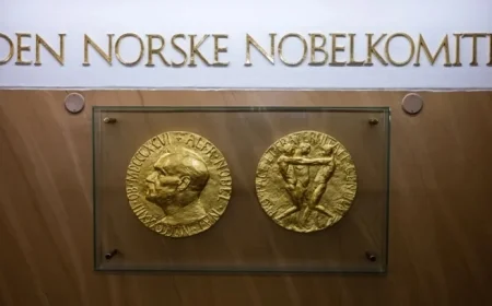 Essential Insights on the Nobel Peace Prize You Need to Know