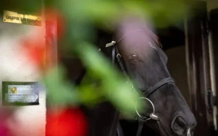 Racing Faces Steady Pace as Budget 2026 Funding Remains Unchanged