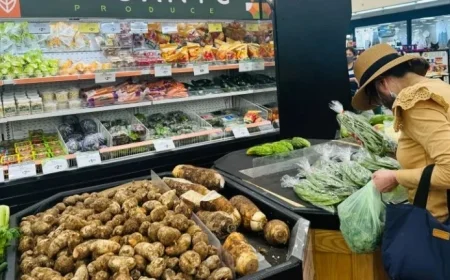 Trump Administration Set to Release Delayed Inflation Data Amid Social Security COLA Concerns