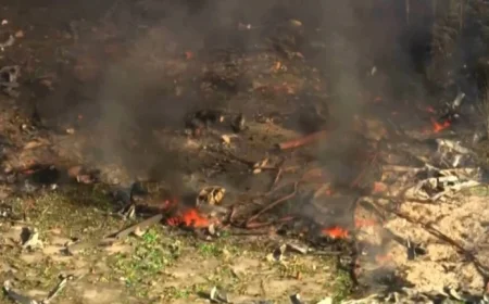 Tragic Explosion at Tennessee Military Munitions Plant Leaves Several Dead and Missing