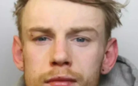 Morgan Freeman sought by police in true-to-life Shawshank plot prison recall drama