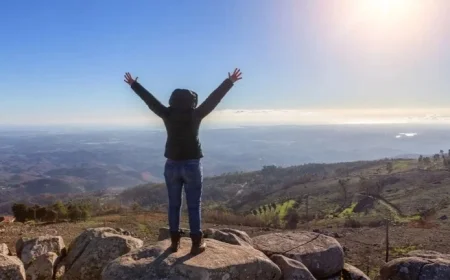 Dow Jones Futures Climb as Market Pauses Bullish Momentum; Palantir Netflix and Oracle Present Key Buy Opportunities