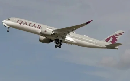 Vegetarian Passenger Tragically Dies After Being Advised to Navigate Around Meat in Qatar Airways Meal