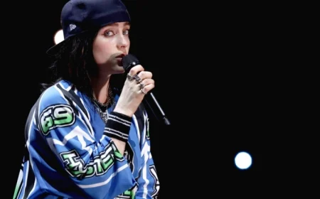 Billie Eilish Shockingly Grabbed and Pulled by Fan at Miami Concert