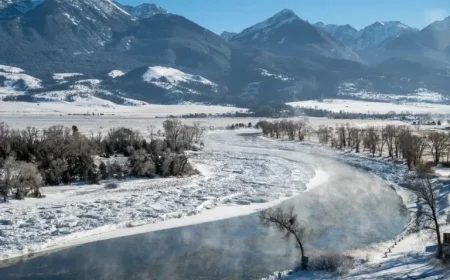 Major Winter Storm Alert Prepare for a Weekend Snowfall of Up to 15 Inches