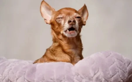 FTSE 100 Dips as London Market Falls and Gold Prices Cool Off