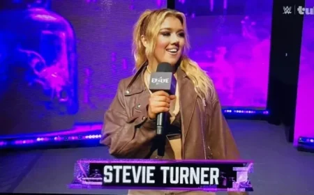 Stevie Turner Departs WWE Shocking Fans and Industry Alike