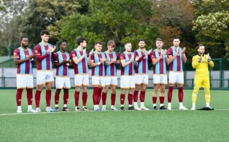 Comprehensive Scout Report on Farnham Town Football Club