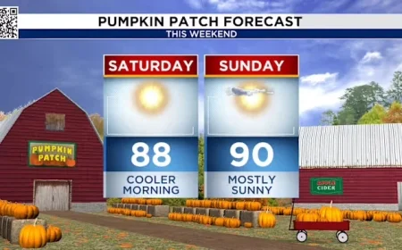 Experience an amazing weekend with perfect weather in Houston