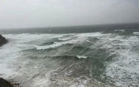 Food Network Star Shirley Chung Triumphantly Returns to Beloved Show After Overcoming Stage 4 Cancer