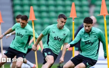 Portugal vs Republic of Ireland: Hallgrimsson Claims Irish Must Deliver Near-Perfect Performance in World Cup Qualifier