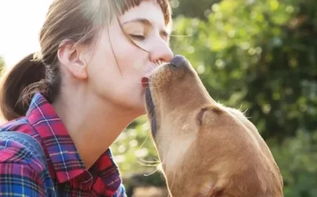 Urgent Warning from Vet: Dog Disease Transmittable to Humans