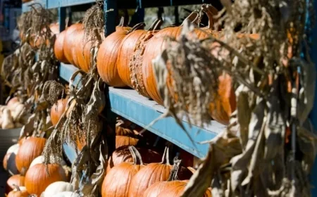 Thanksgiving Day 2025: What’s Open and What’s Closed