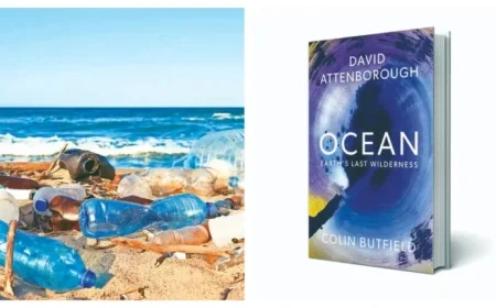 Engaging Book Review on The Deep Blue Friend Novel