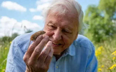 Sir David Attenborough to Star in Three New BBC Shows Leading Up to His 100th Birthday