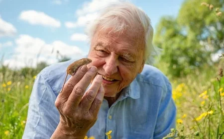 David Attenborough’s New BBC Project Filmed in Unexpected Location as He Approaches 100th Birthday