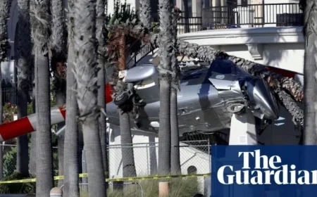 Helicopter Crash Lands into Palm Trees at Famous California Beach