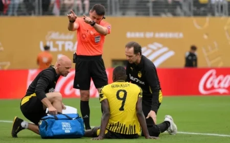 Serhou Guirassy Exits Guinea Squad Early Following Injury Setback