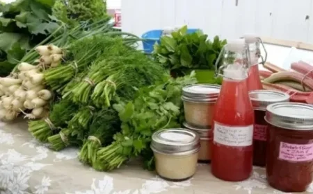 Discover the Avalon Food Hub Revolutionizing Local Shopping Experiences