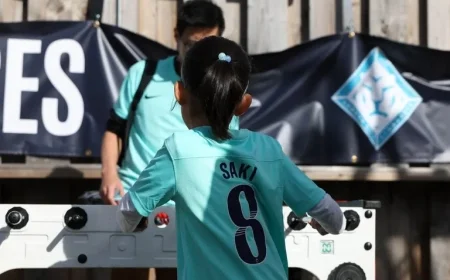 Comprehensive West Ham United Home Game Fan Guide