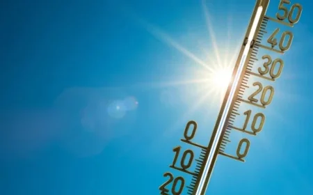 Toronto Weather Forecast: Enjoy Mild Temperatures and a Breezy Afternoon Tomorrow