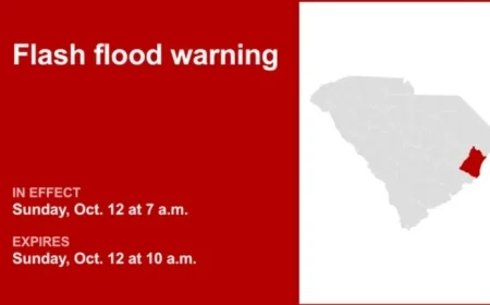 Georgetown County Braces for Sunday Morning Flash Flood Warning Following Heavy Rainfall