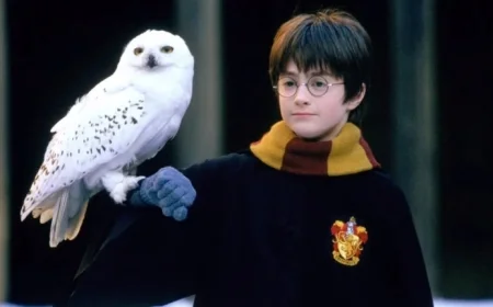 Discover My Ranking of Every Harry Potter Movie as the Franchise Tops My Favorites