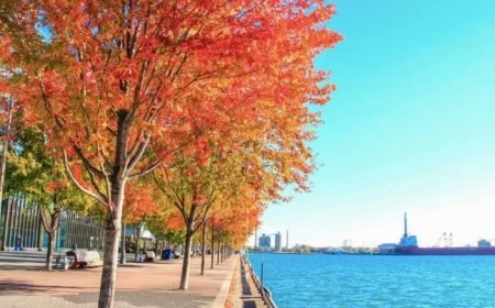 Discover the Top 10 Spots to Experience Stunning Fall Colors in Toronto