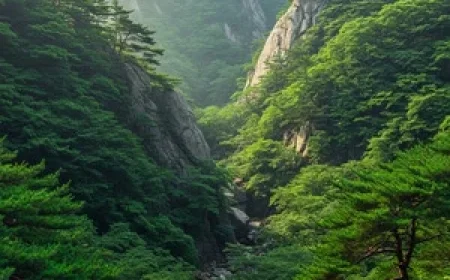 Under a consistently cloudy sky, occasional light rain is expected throughout the day