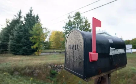 Peel Police Arrest 8 Suspects in Staggering $400K Mail Theft Case