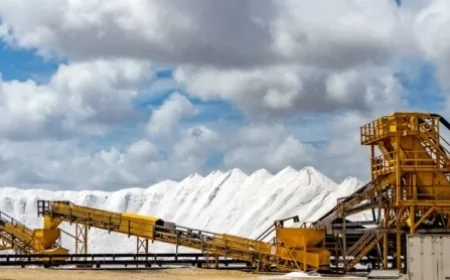 MP Materials Valuation: Impact of US Government Support and China’s Rare Earth Export Restrictions