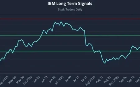 How IBM Volatility is Shaping the Response of Trading Systems