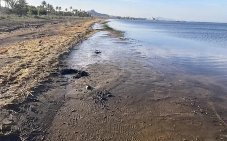 Study Reveals El Mar Menor Exceeds Toxicity Limits for 6 Metals