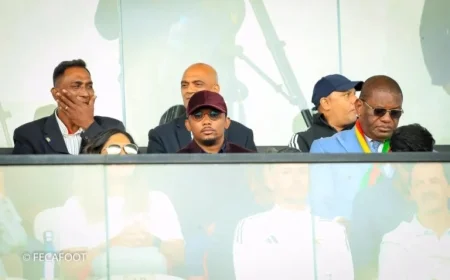 Cameroun vs Angola: What If the Lions Don’t Win