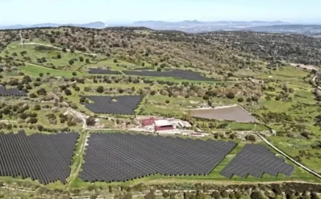 Ministry Approves 90 Hectares of Solar Panels in UNESCO Protected Site