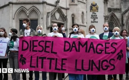 Dieselgate Trial Kicks Off Five Major Carmakers Face Accusations of Emissions Cheating