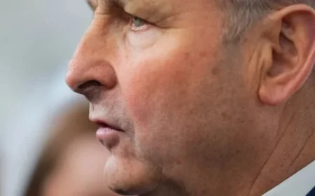 Micheál Martin Apologizes for Party’s Failed Presidential Campaign Acknowledging Clear Mistakes