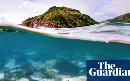 Report Reveals World’s First Climate Tipping Point Threatening Extensive Coral Reef Dieback