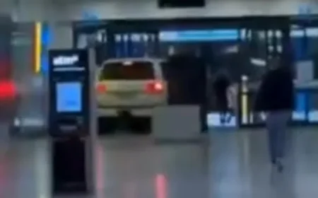 Discover Which Cars Thieves Are Targeting Amid Victoria’s Rising Vehicle Thefts