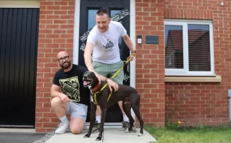 Lonely dog finds forever home after 1116 days in County Durham shelter