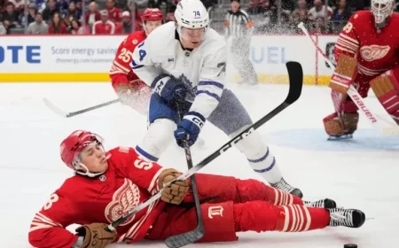 How to Stream the Red Wings vs Maple Leafs NHL Game Live Today
